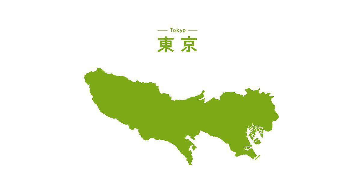 東京の大型おもちゃ屋で親子で楽しむ！おもちゃ選びのコツ